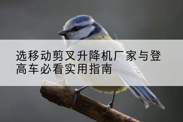 孟津电动升降机厂家-选移动剪叉升降机厂家与登高车必看实用指南