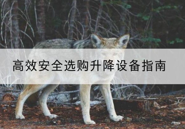 孟津升降货梯厂家推荐-*安全选购升降设备指南