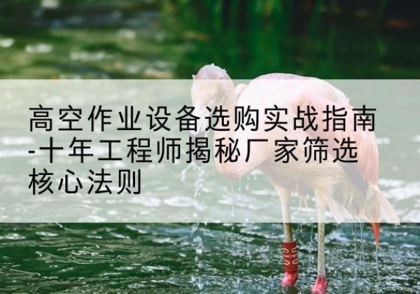 孟津剪叉式升降机厂家-高空作业设备选购实战指南-十年工程师揭秘厂家筛选核心法则